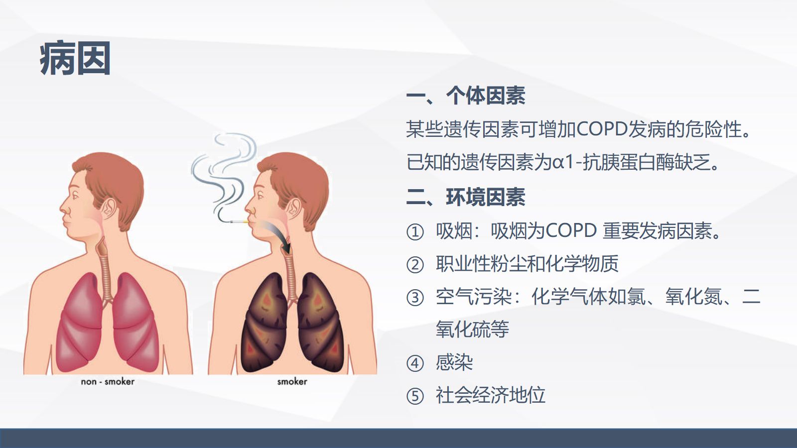 慢性阻塞性肺疾病(COPD)引起呼吸衰竭的业务学习 第5页