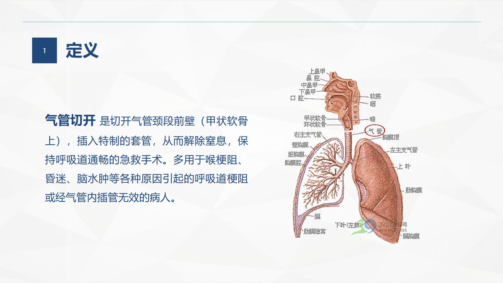 气管切开的护理业务学习 第4页