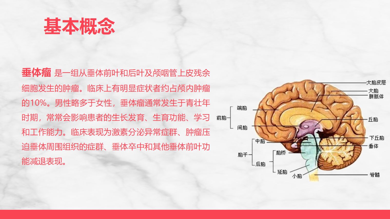 垂体瘤病人护理 第4页
