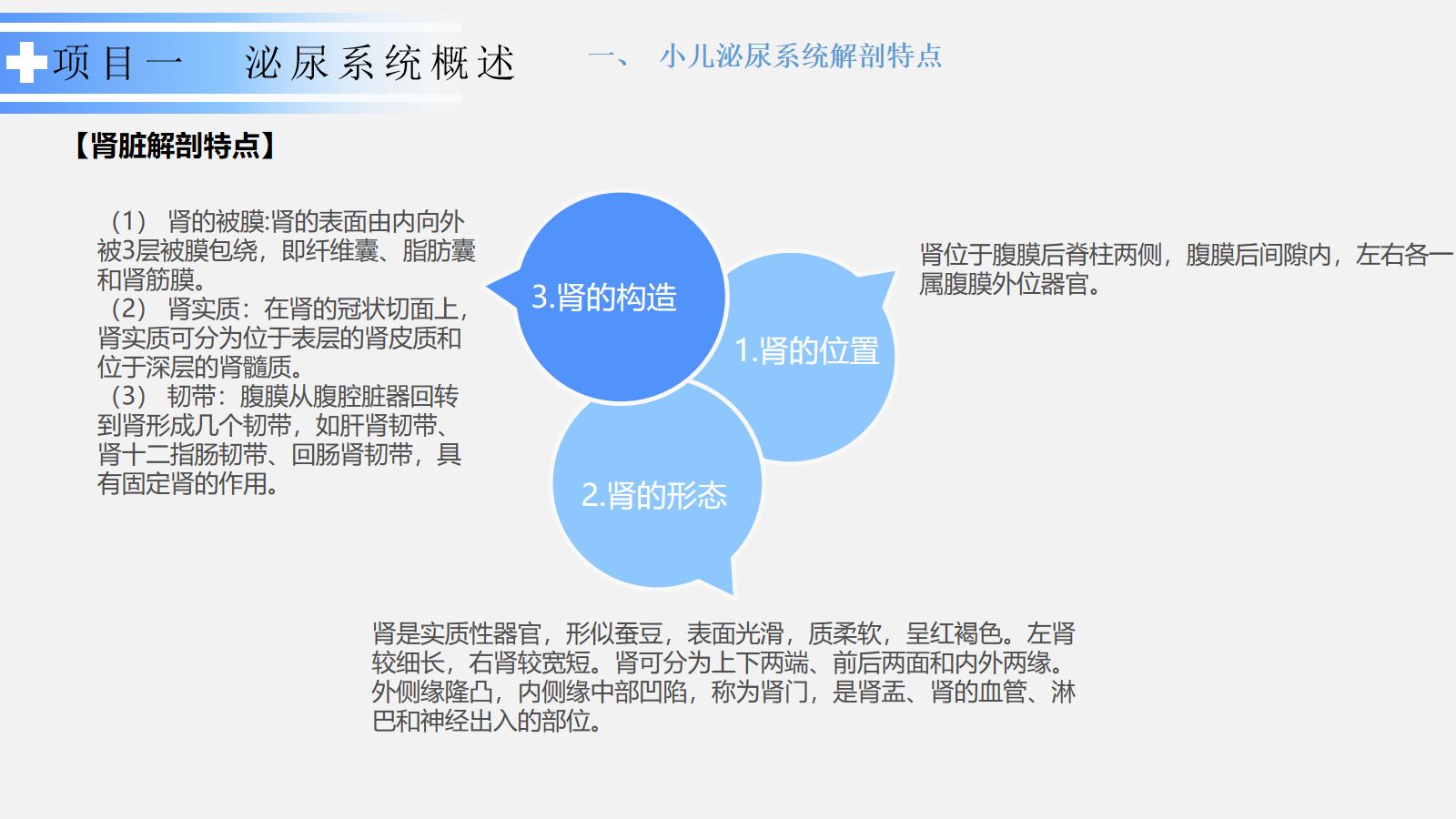 泌尿系统疾病患儿的护理 第4页