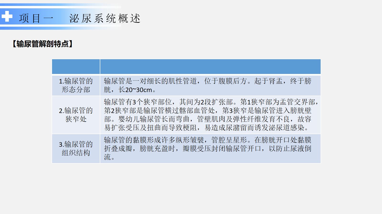 泌尿系统疾病患儿的护理 第5页