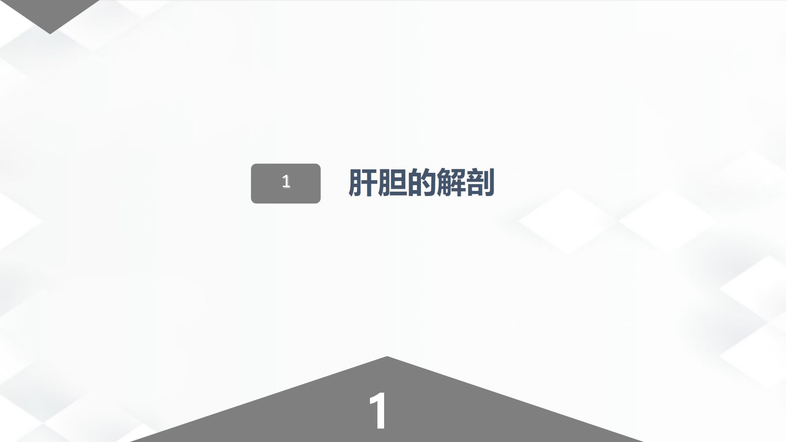 肝胆胰的解剖结构 第2页