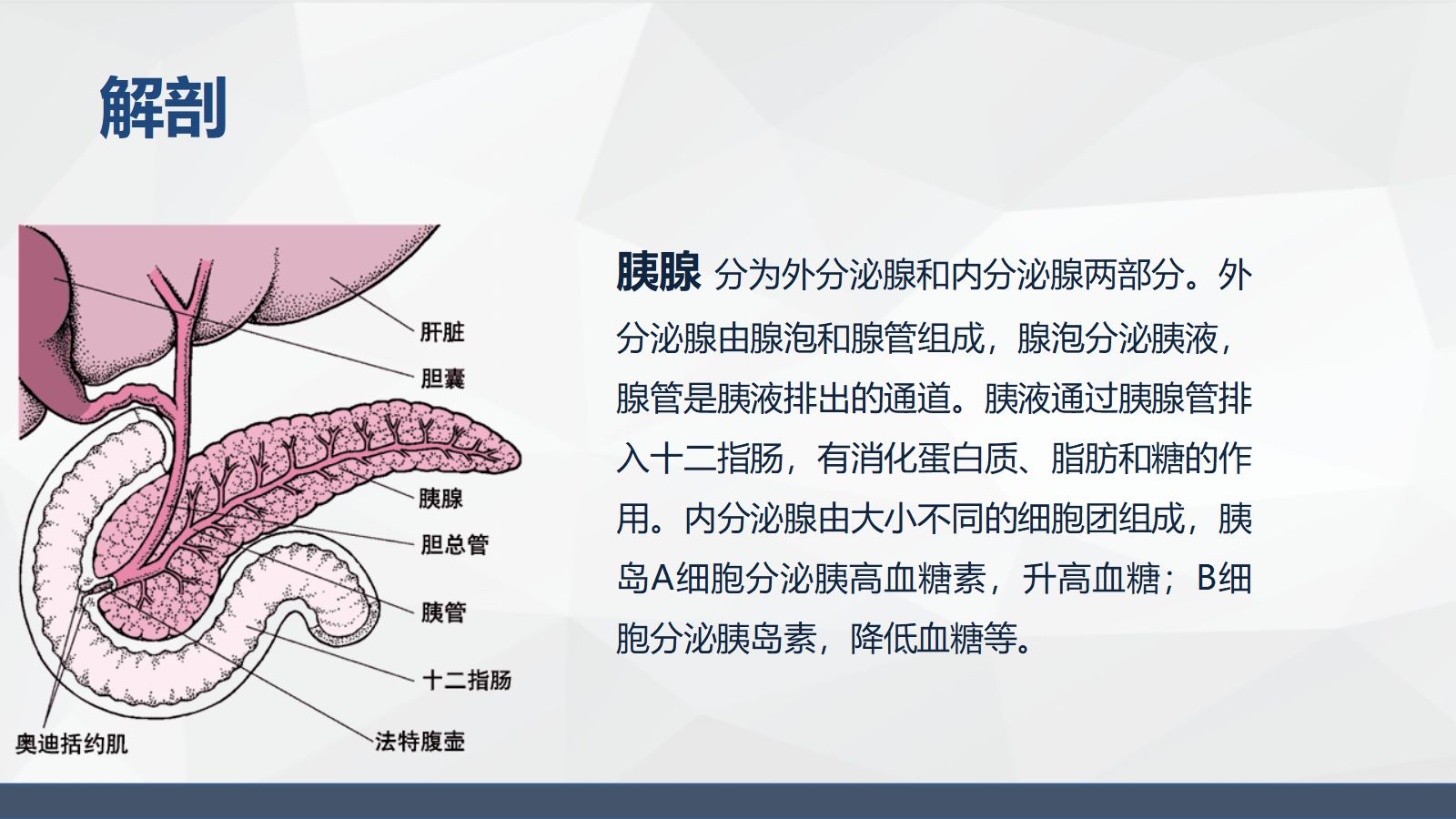 腹腔镜胰体尾手术护理配合 第4页