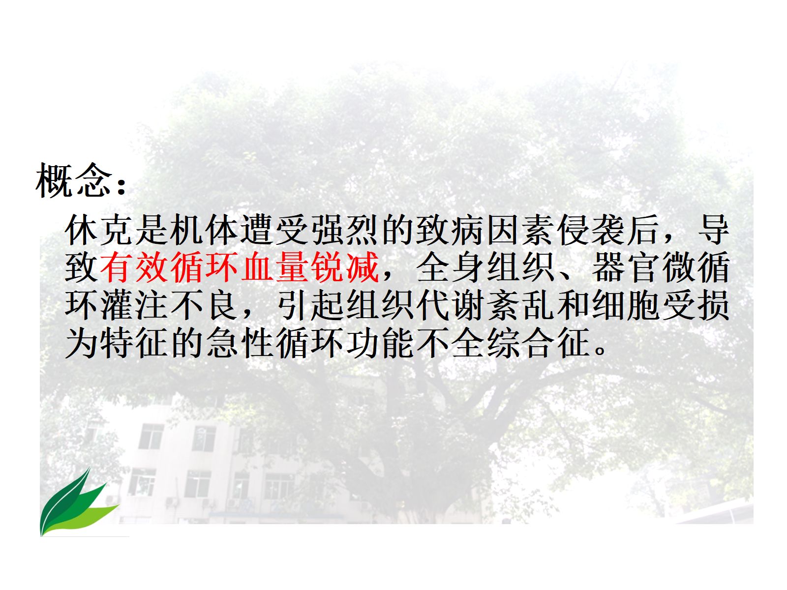 失血性休克的处理流程-高 第2页