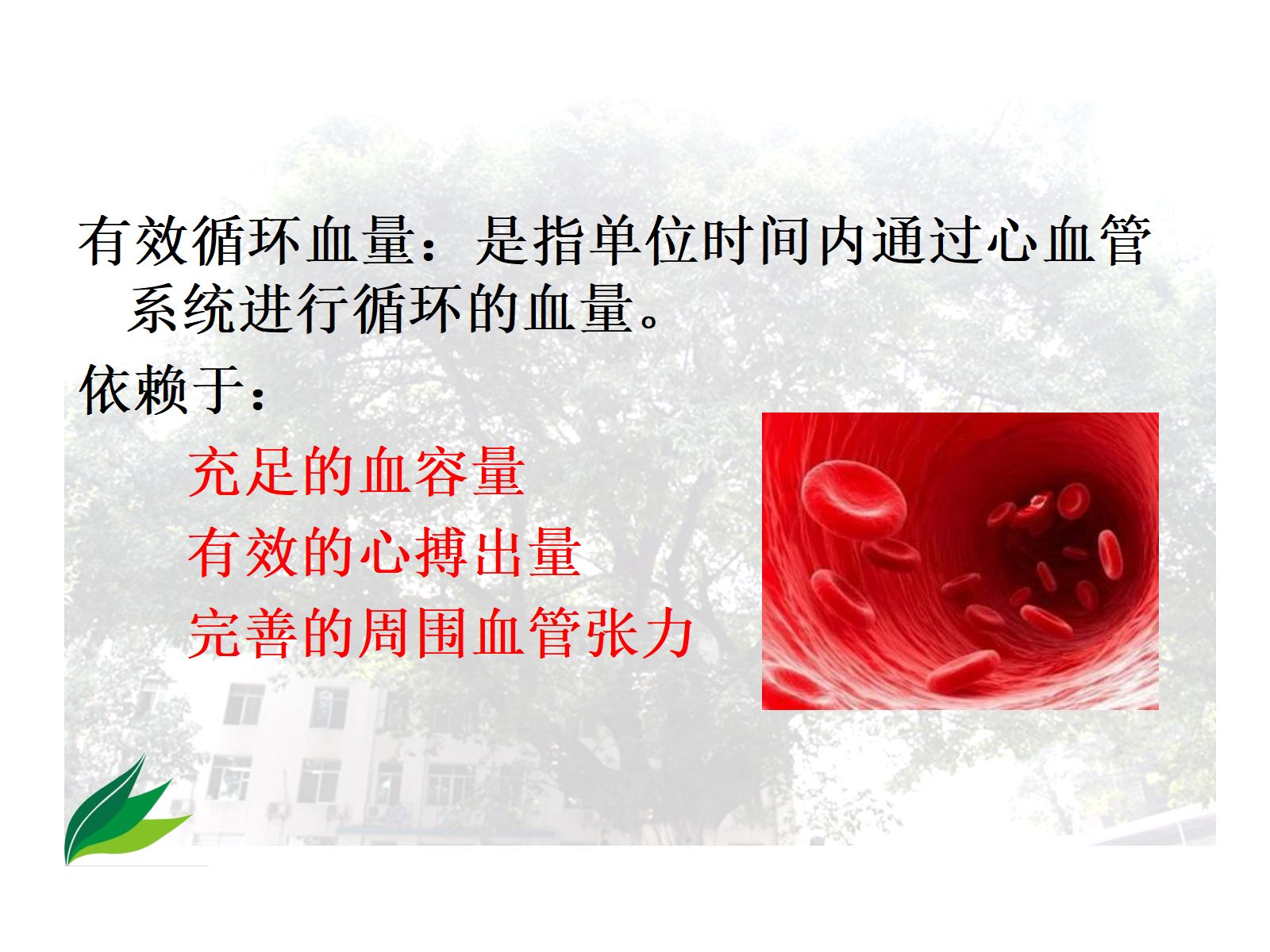 失血性休克的处理流程-高 第3页