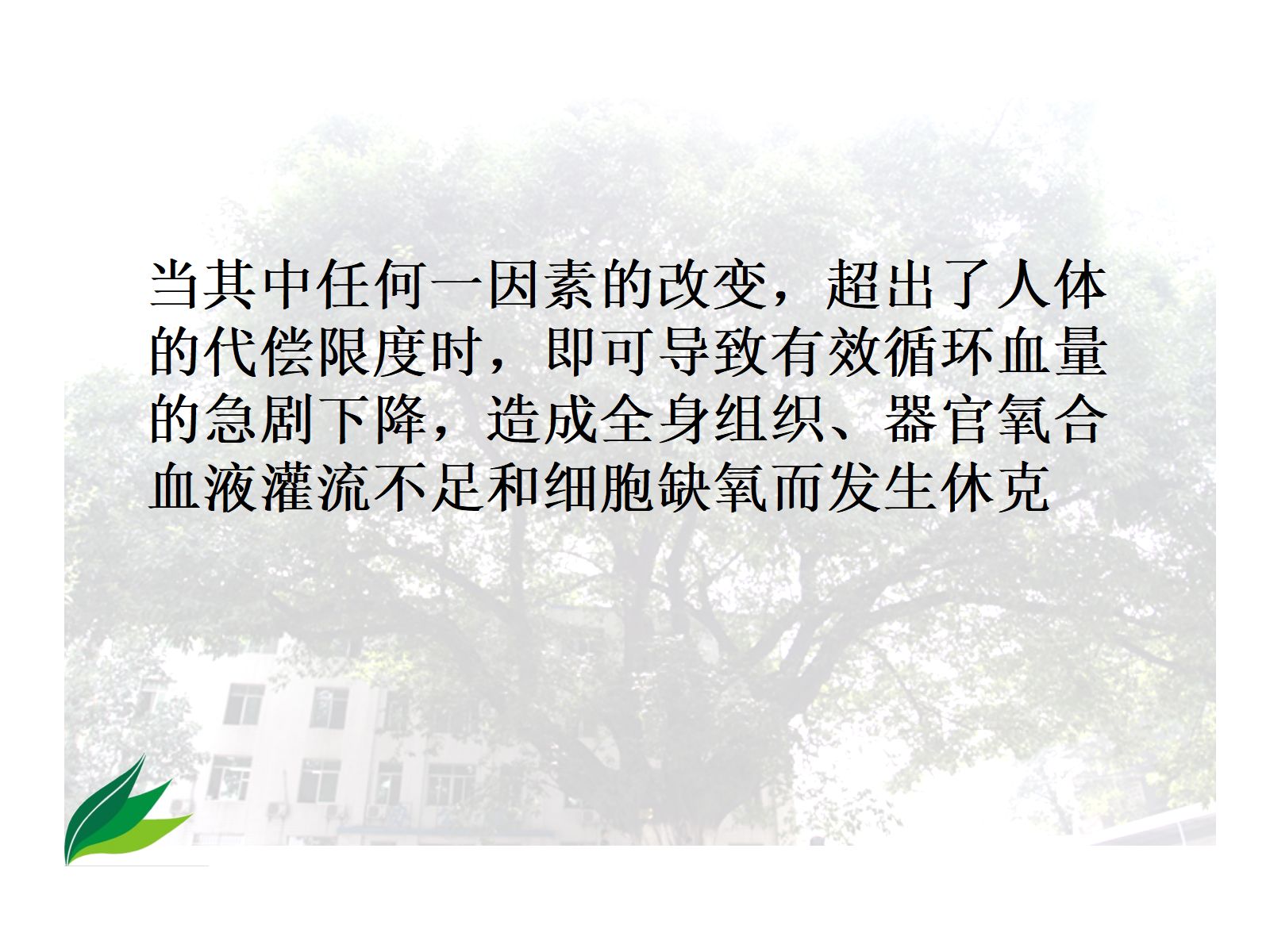 失血性休克的处理流程-高 第4页