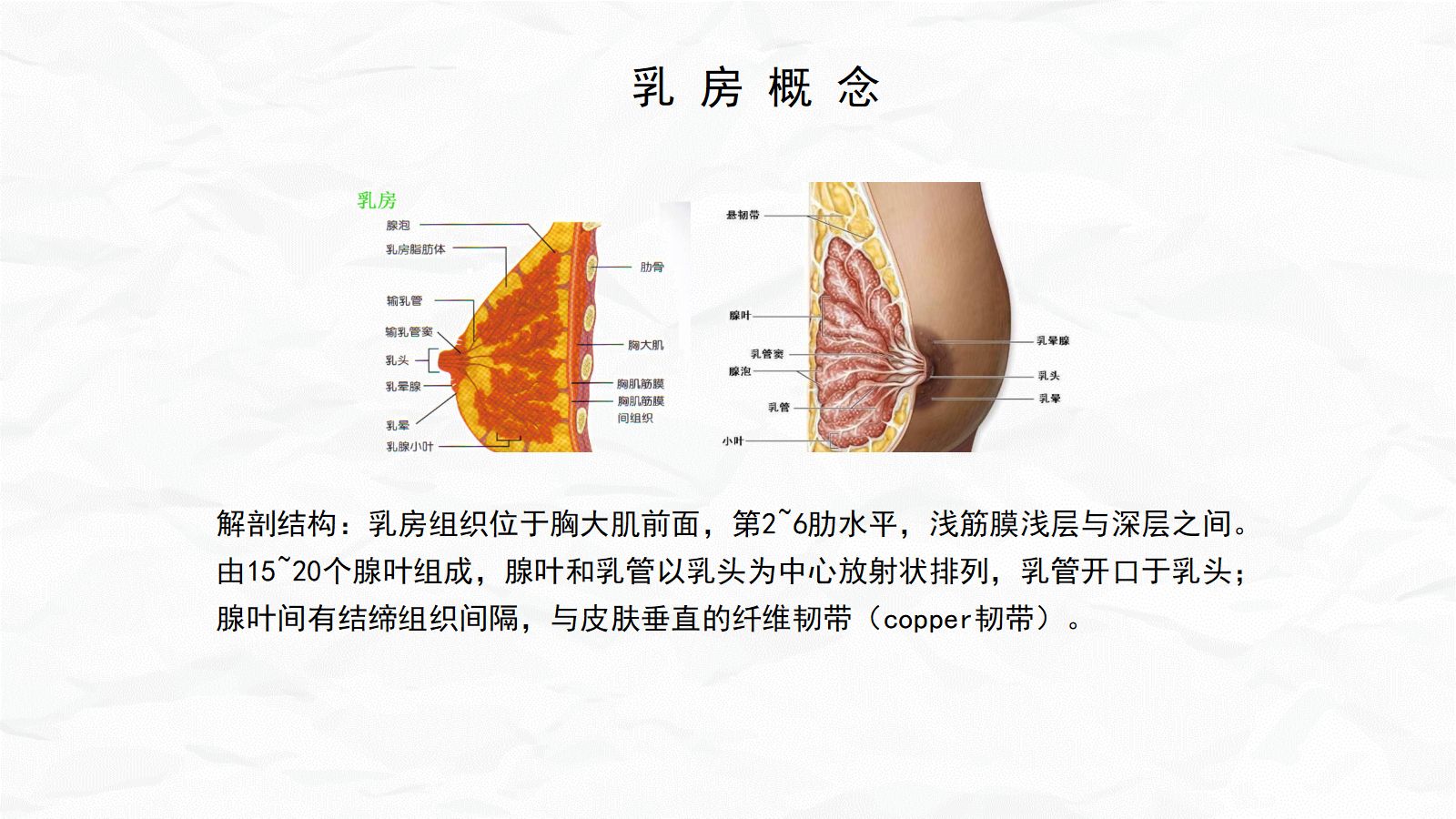急性乳腺炎护理 第4页