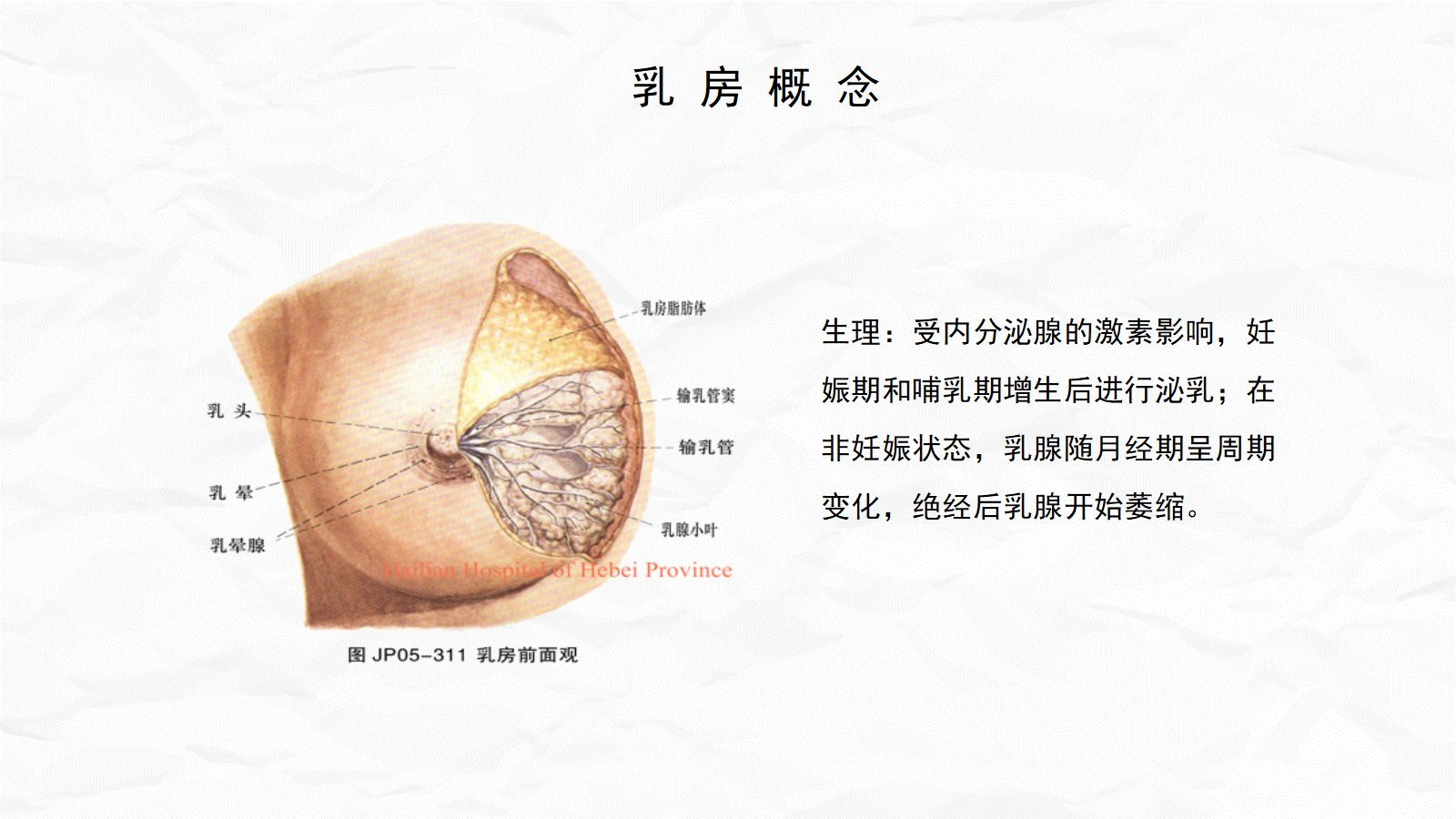 急性乳腺炎护理 第5页