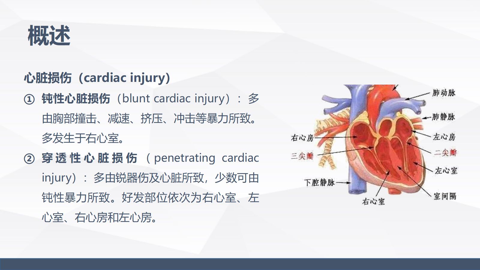 心脏损伤的业务学习 第4页