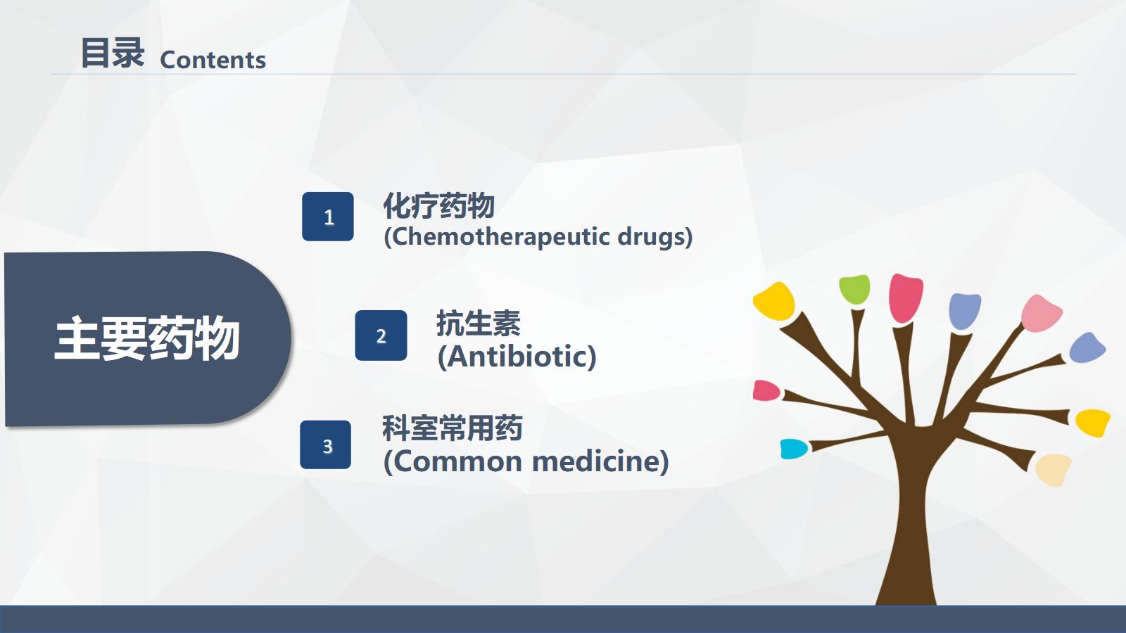 药物的不良反应及注意事项 第2页