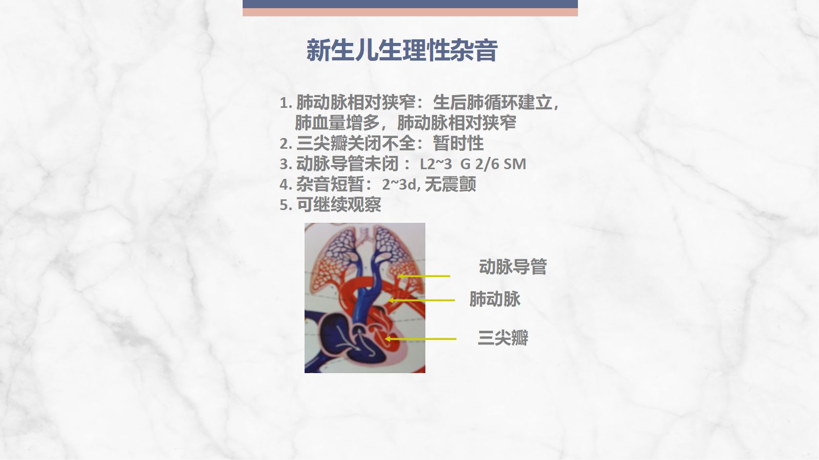 新生儿先天性心脏病病例讨论 第4页