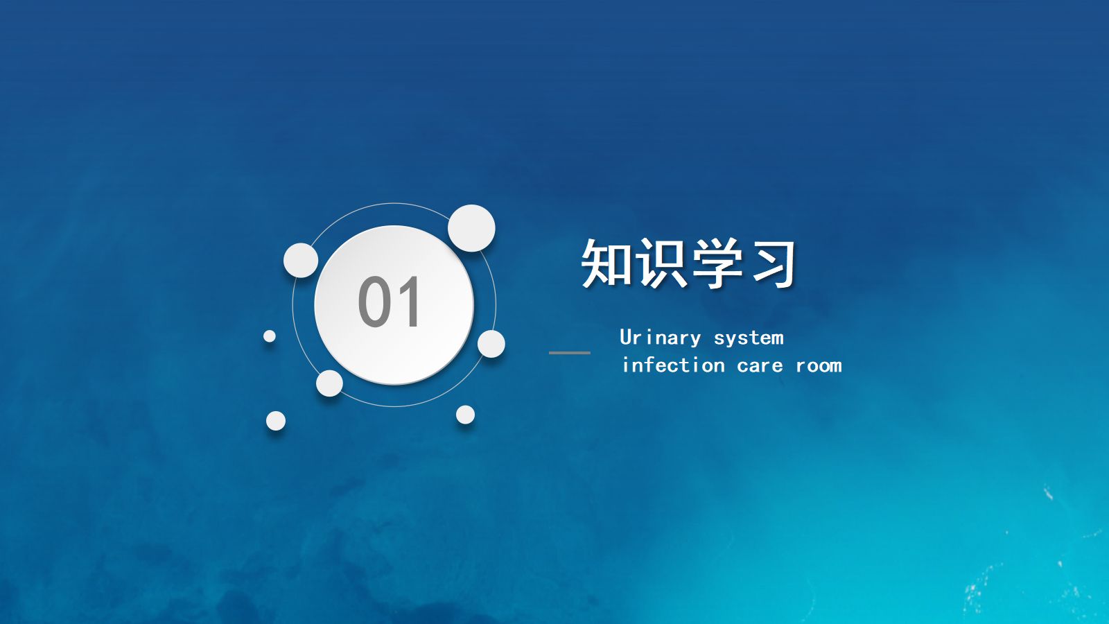 泌尿系统感染护理查房 第3页