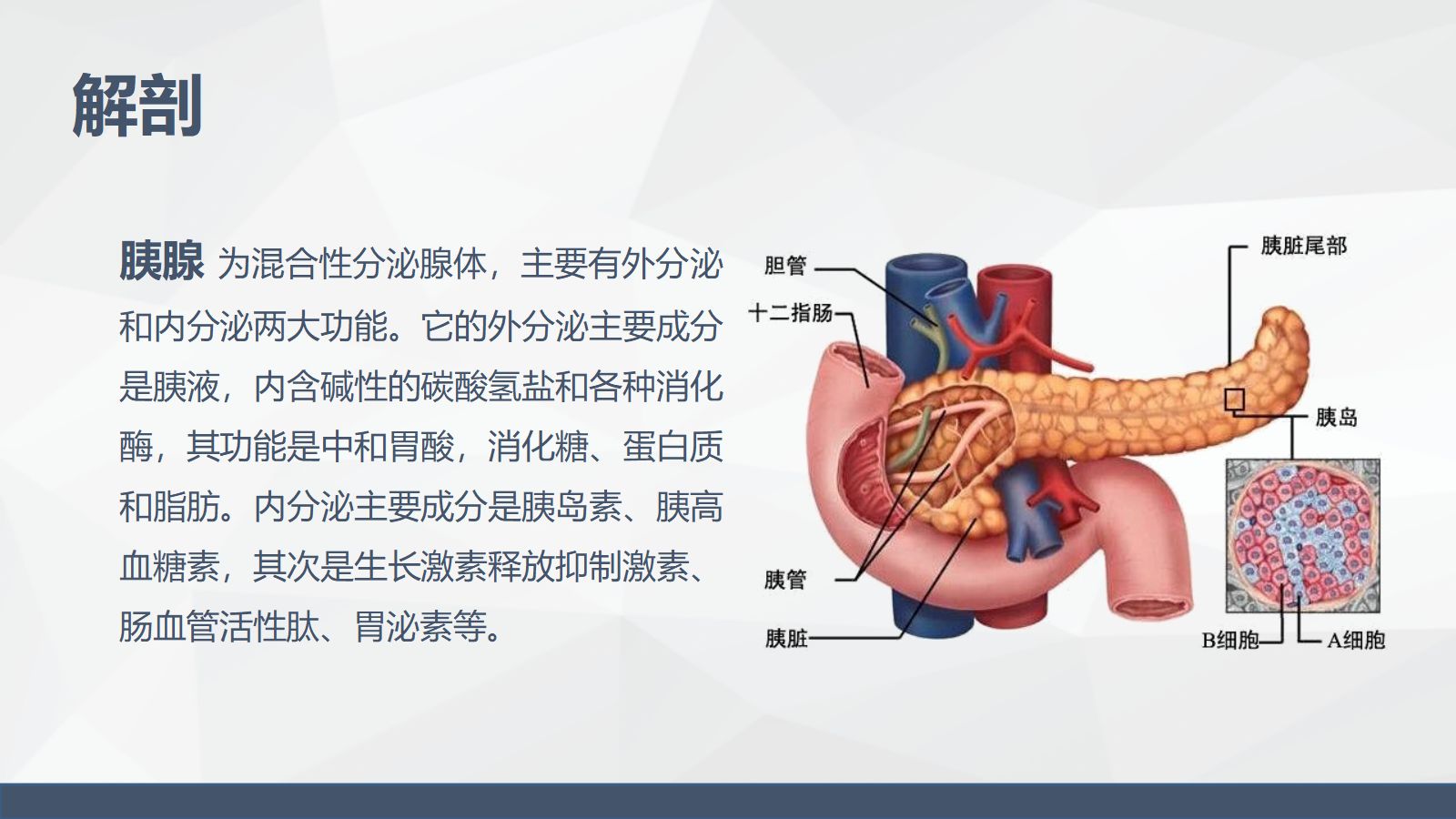 56消化科-胰腺癌患者的护理查房 第4页