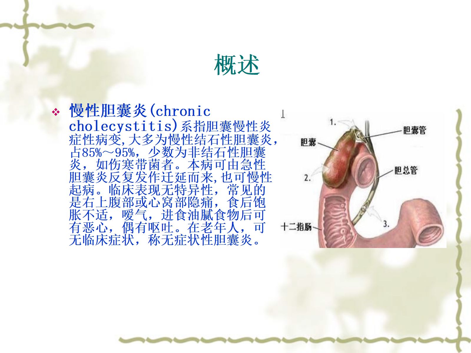 慢性胆囊炎患者的护理查房 第2页