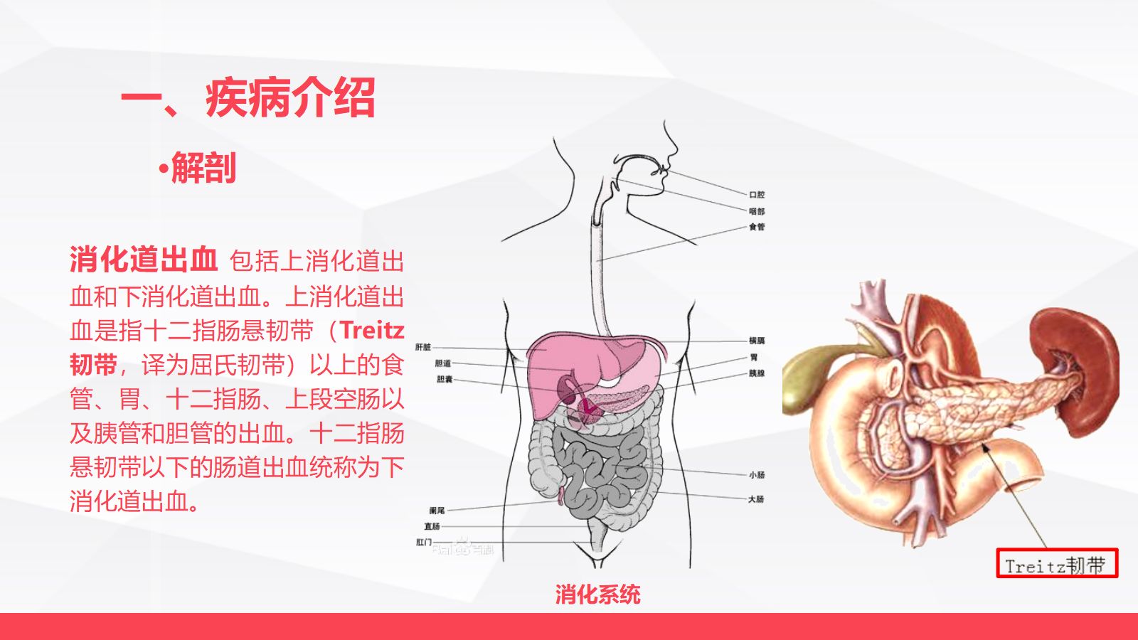 消化道大出血的急救与护理 第4页