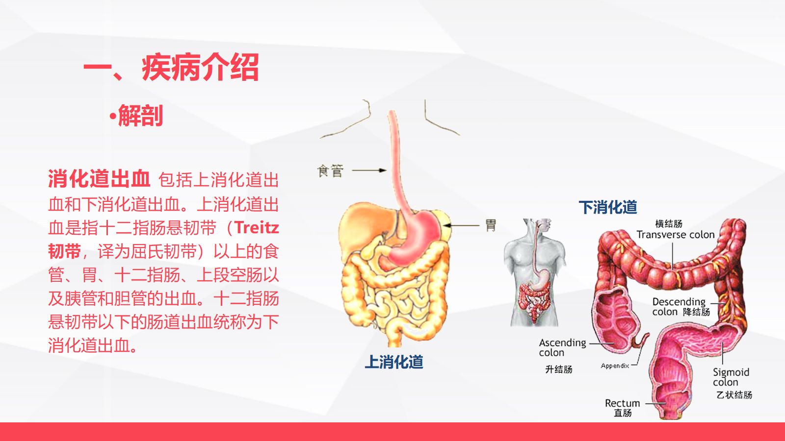 消化道大出血的急救与护理 第5页