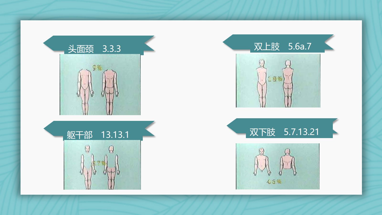 烧伤病人护理教学查房 第5页