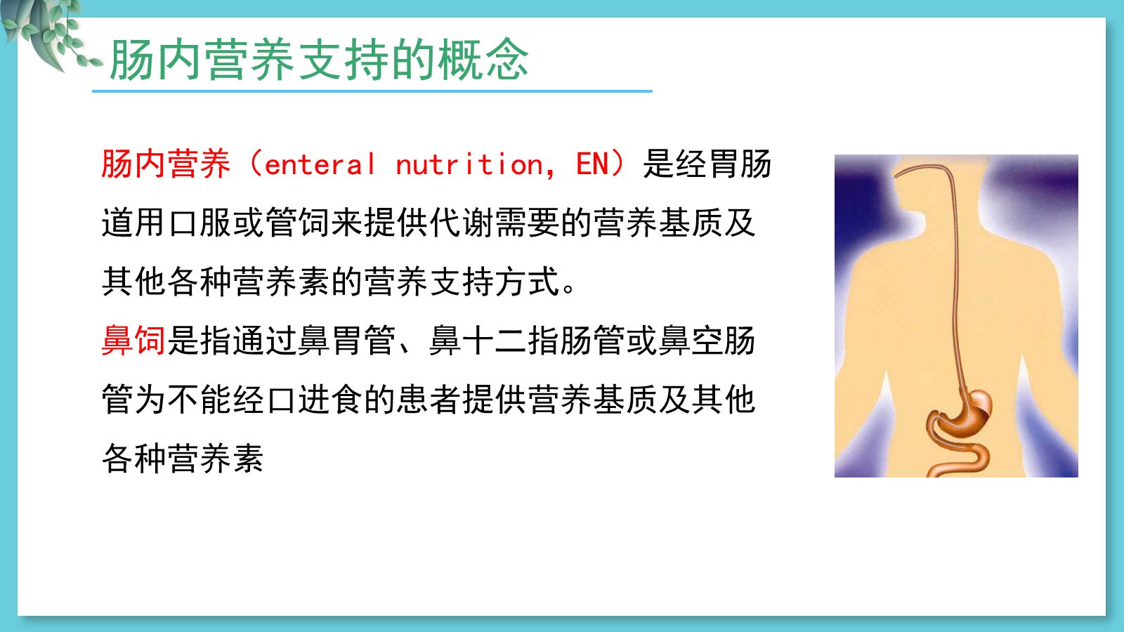 危重病人肠内营养支持与治疗 第3页