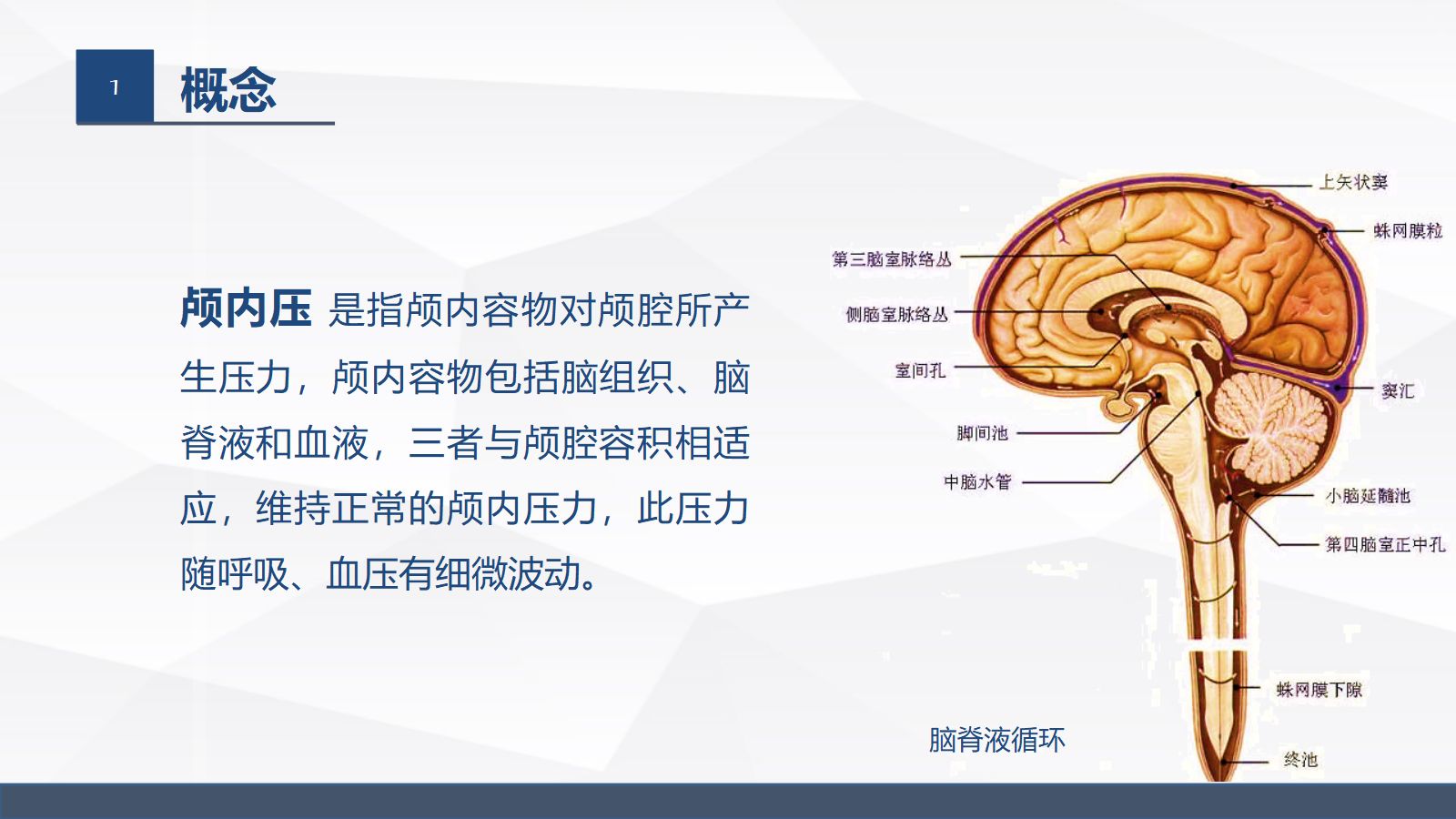 颅内压增高病人的护理 第4页