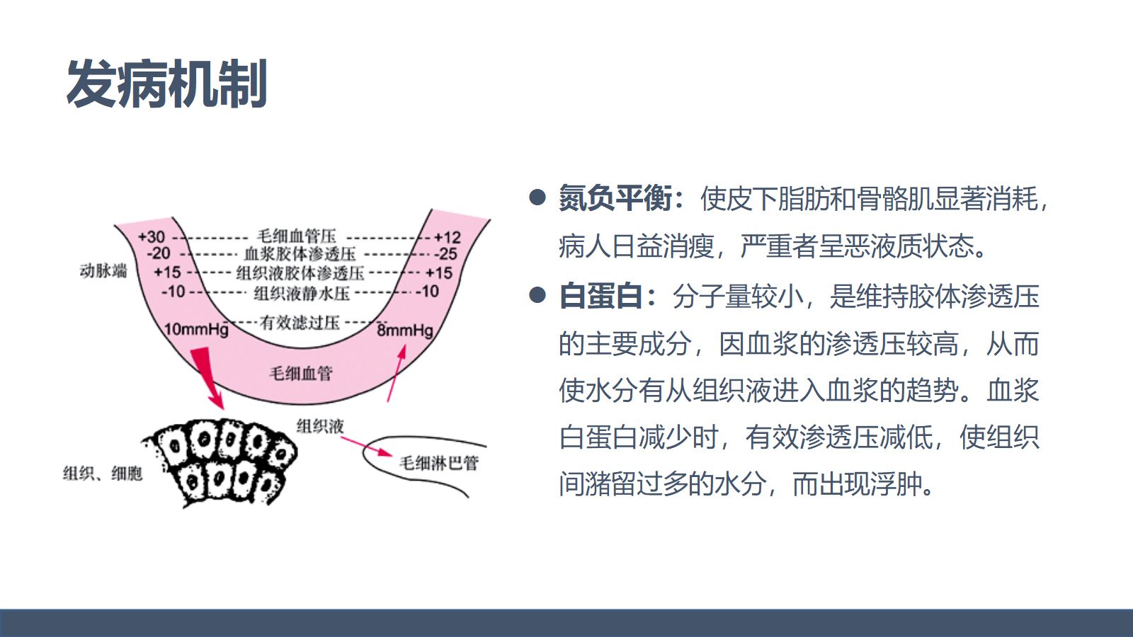 低蛋白血症的护理 第5页