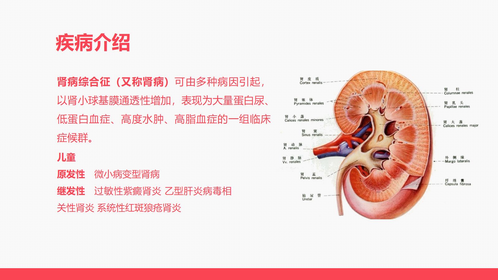 肾病患儿服用激素后的临床表现及护理 第3页