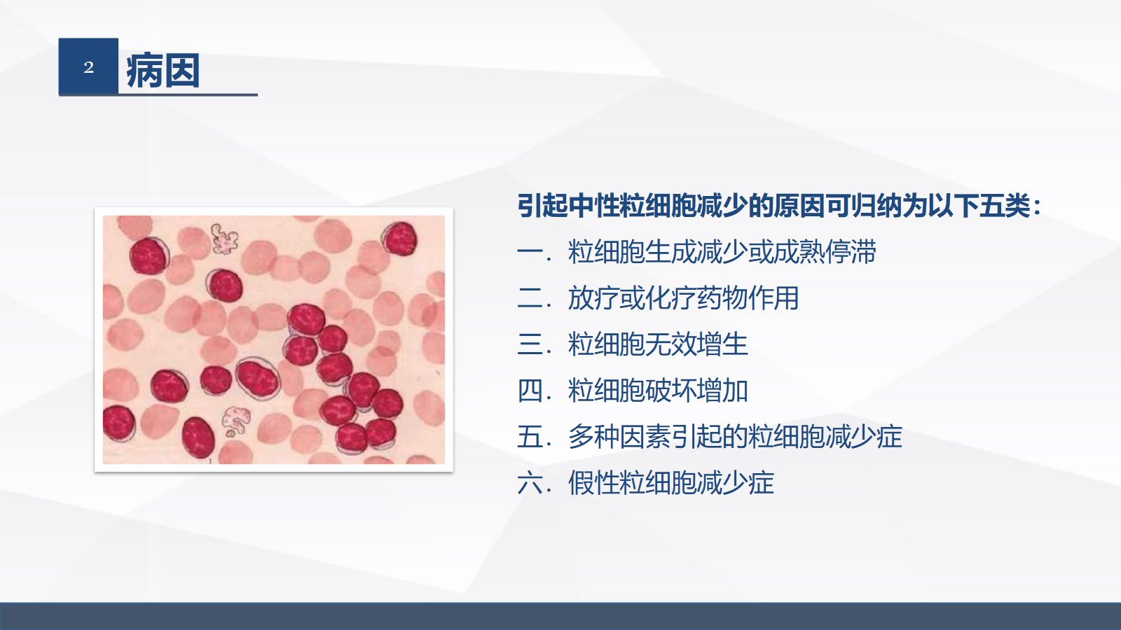 中性粒细胞减少伴发热的业务学习 第5页