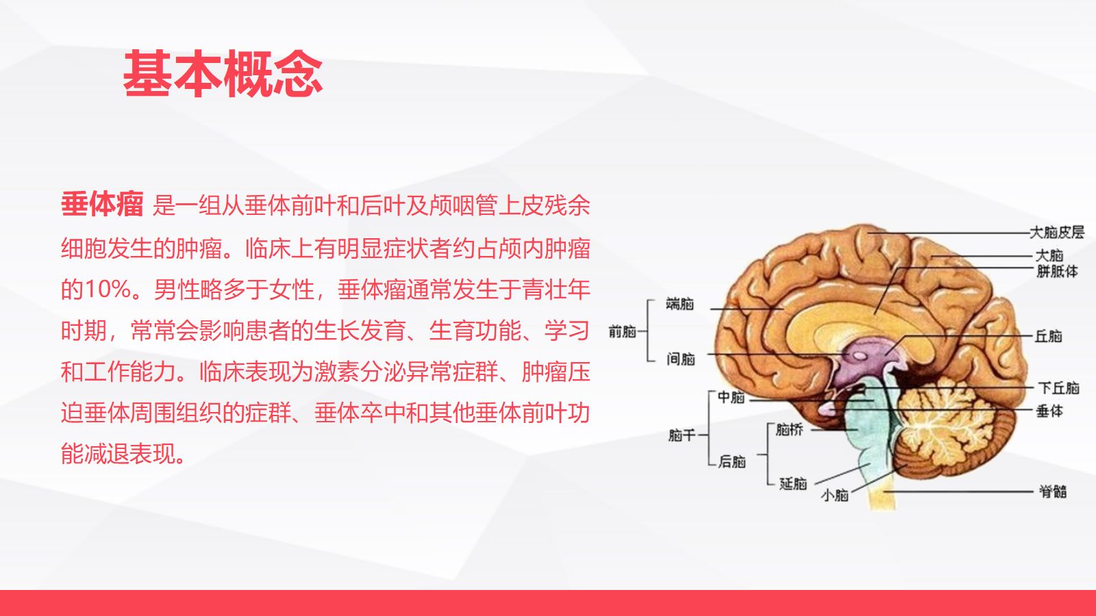 垂体瘤病人护理 第4页