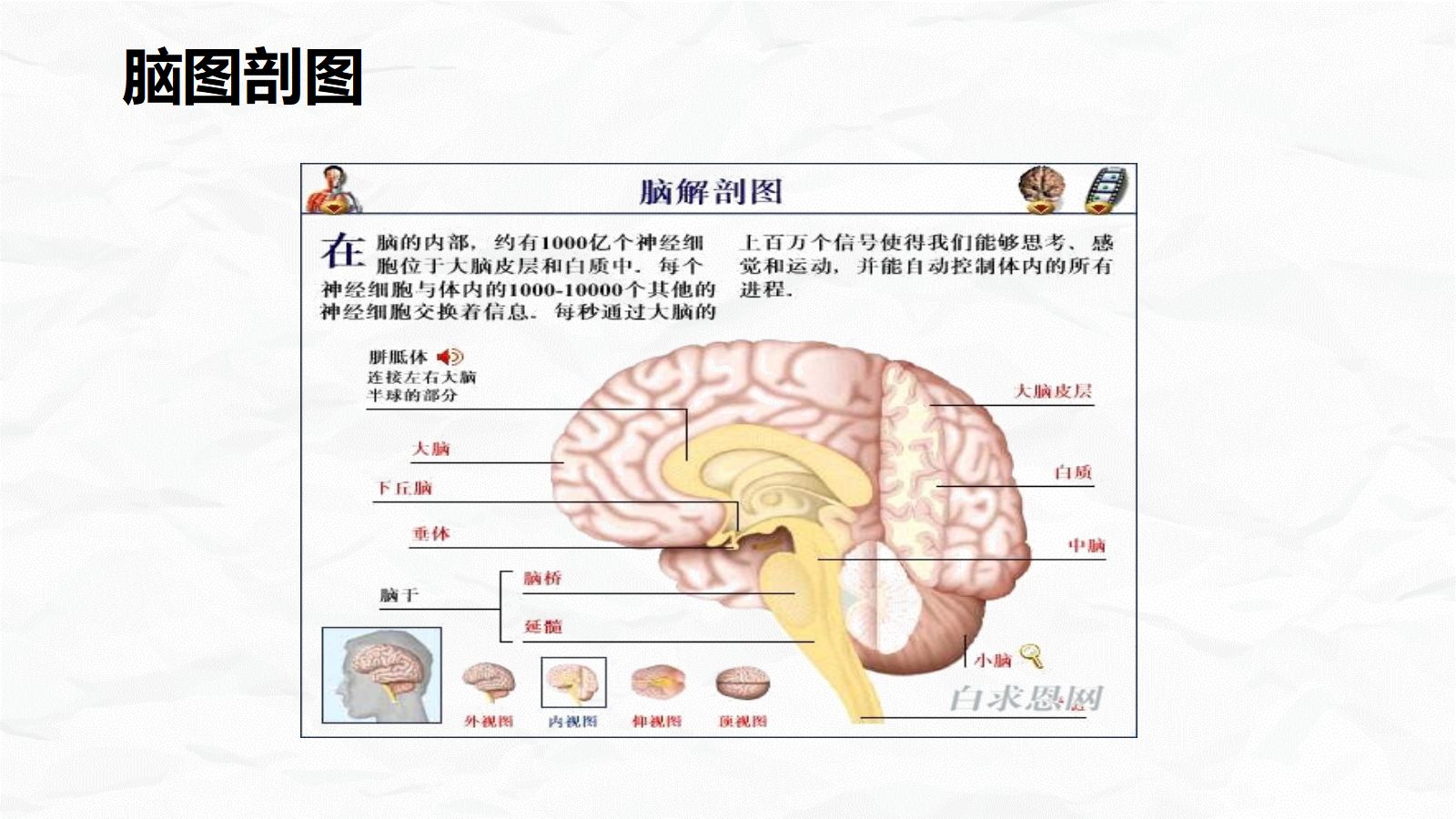 小脑肿瘤术后护理查房 第4页
