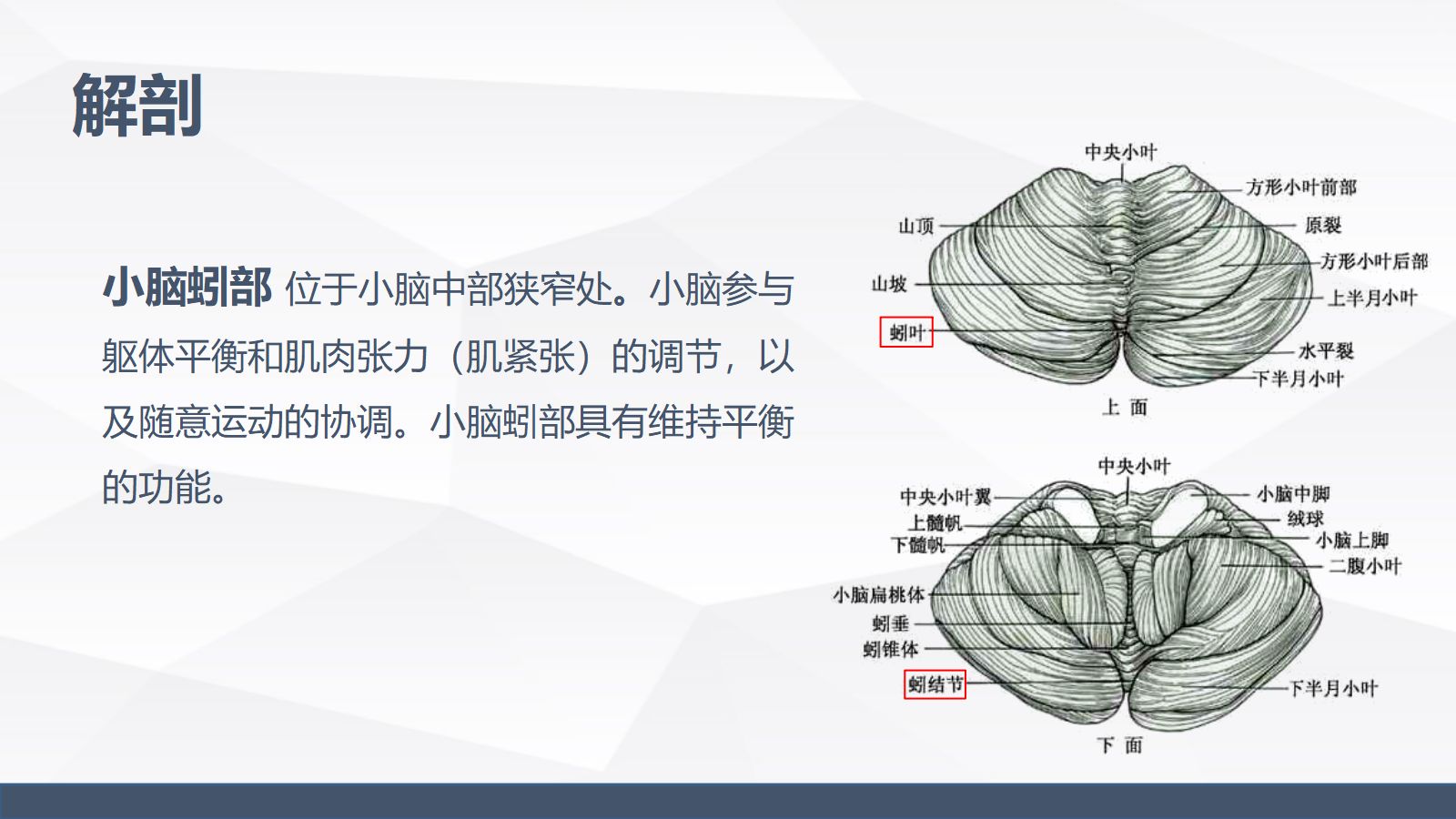 小脑蚓部占位的业务学习 第4页