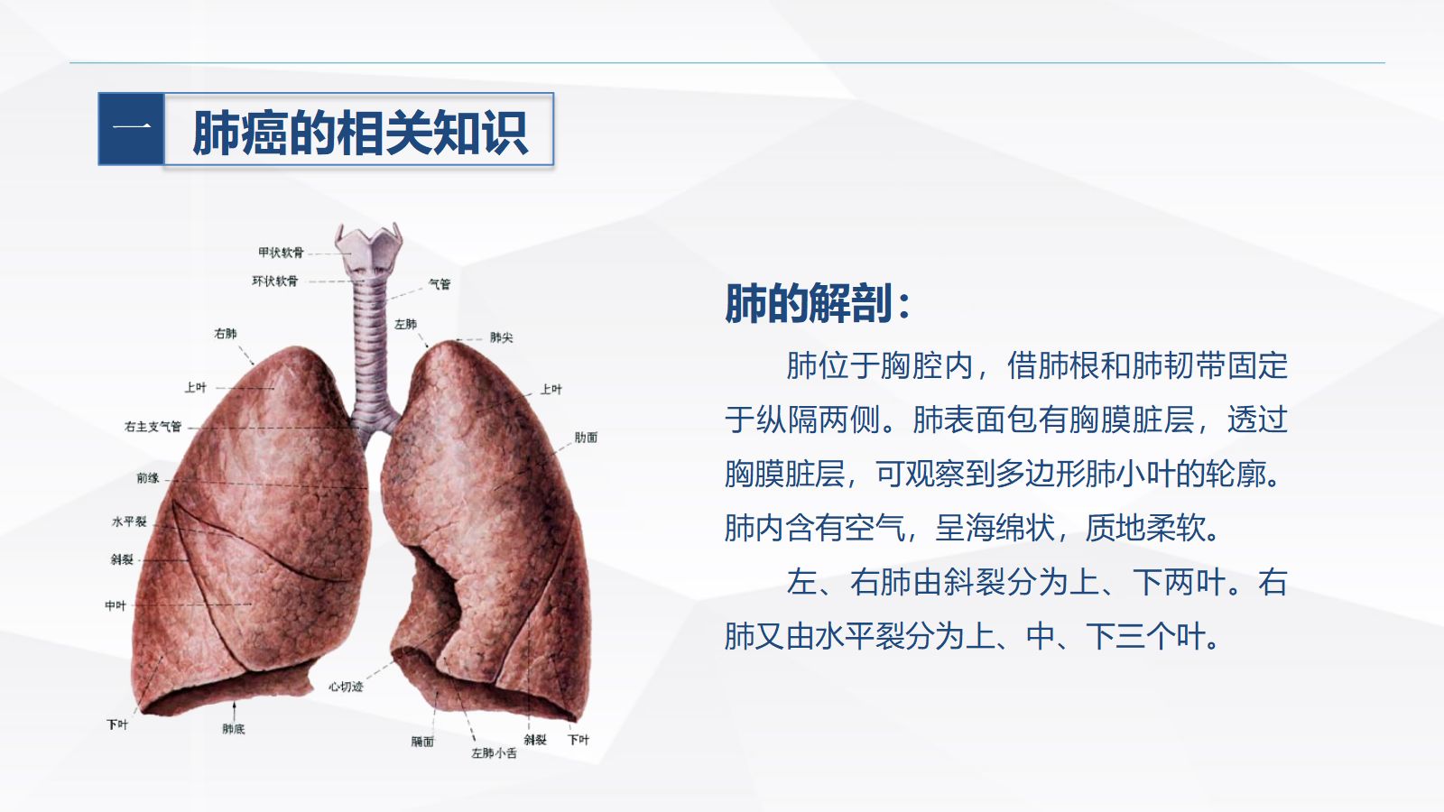 肺癌患者的护理 第4页