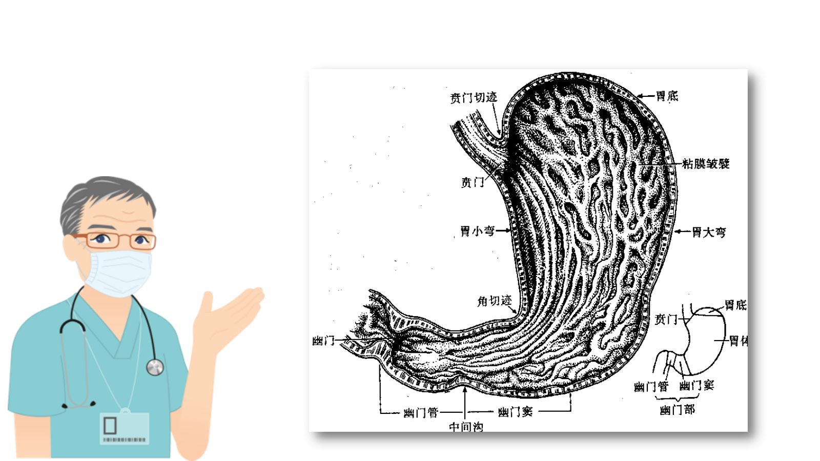 胃癌的护理查房 第5页