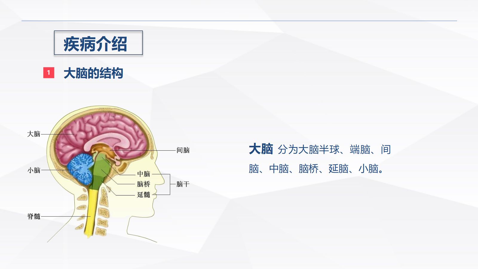 脑出血疾病介绍+术后护理 第2页