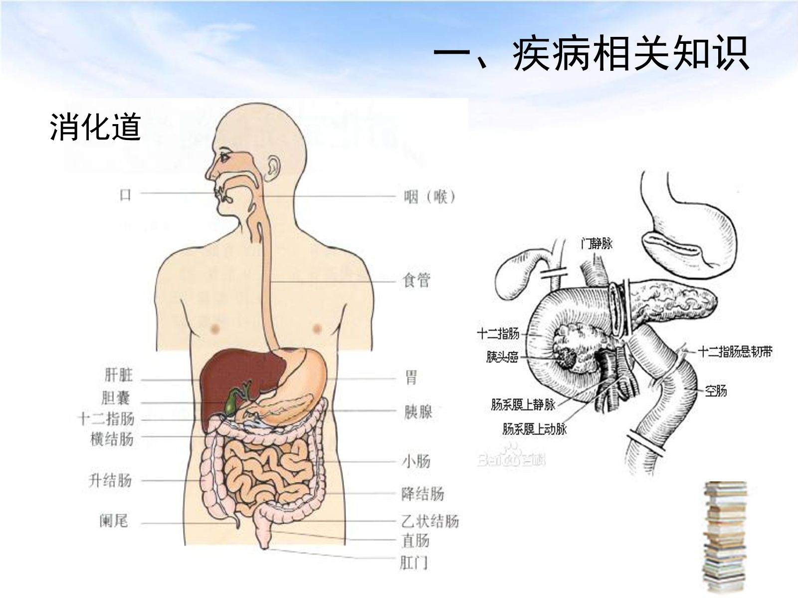 下消化道出血伴失血性休克护理查房 第3页