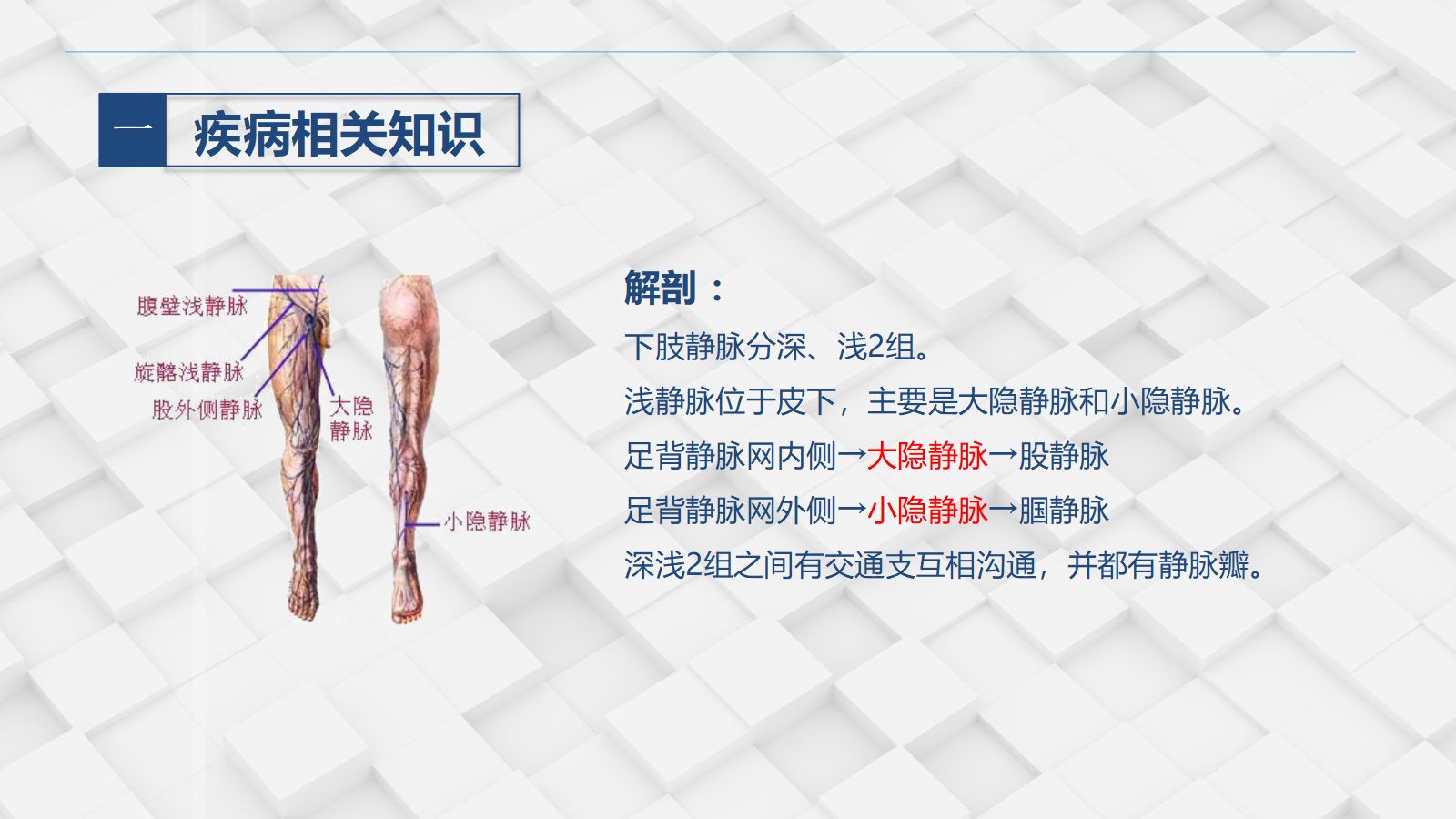 71血管外科-下肢静脉曲张的护理查房 第4页
