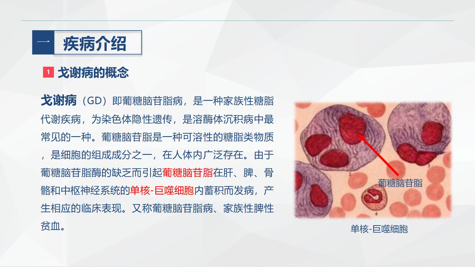 戈谢综合症的护理 第4页