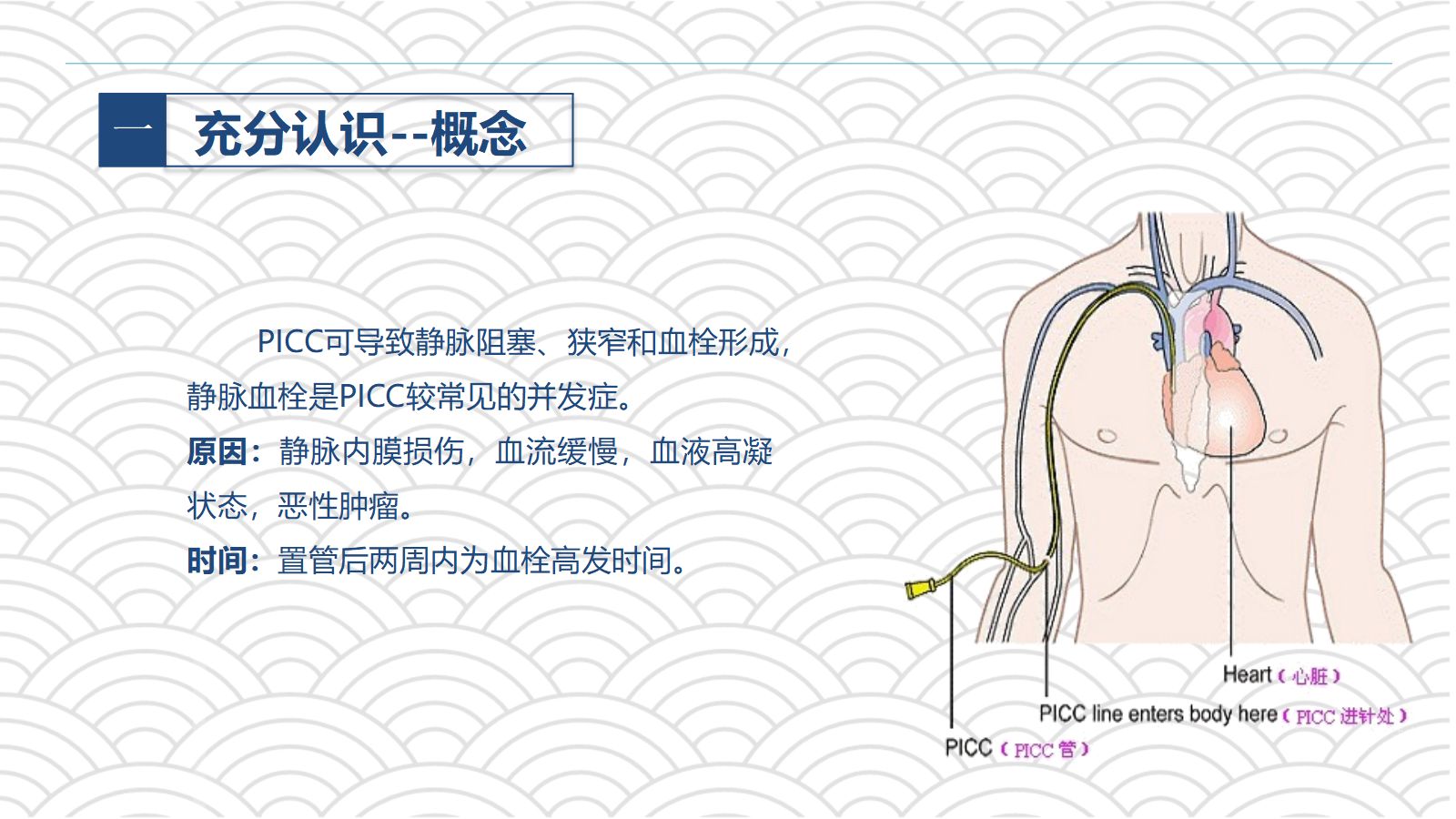 PICC相关静脉血栓护理的业务学习 第5页