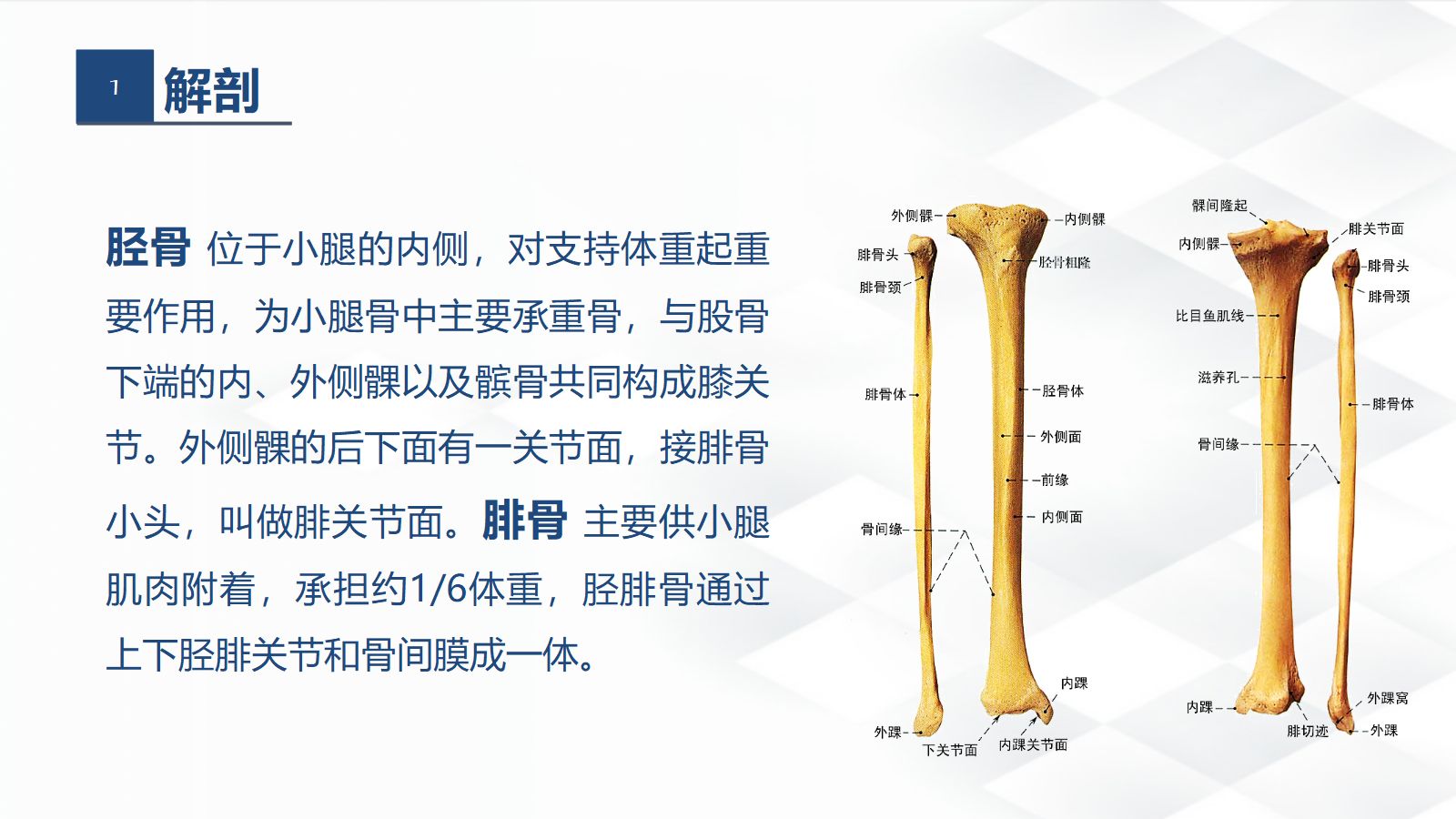 06骨科-胫腓骨骨折教育查房 第4页