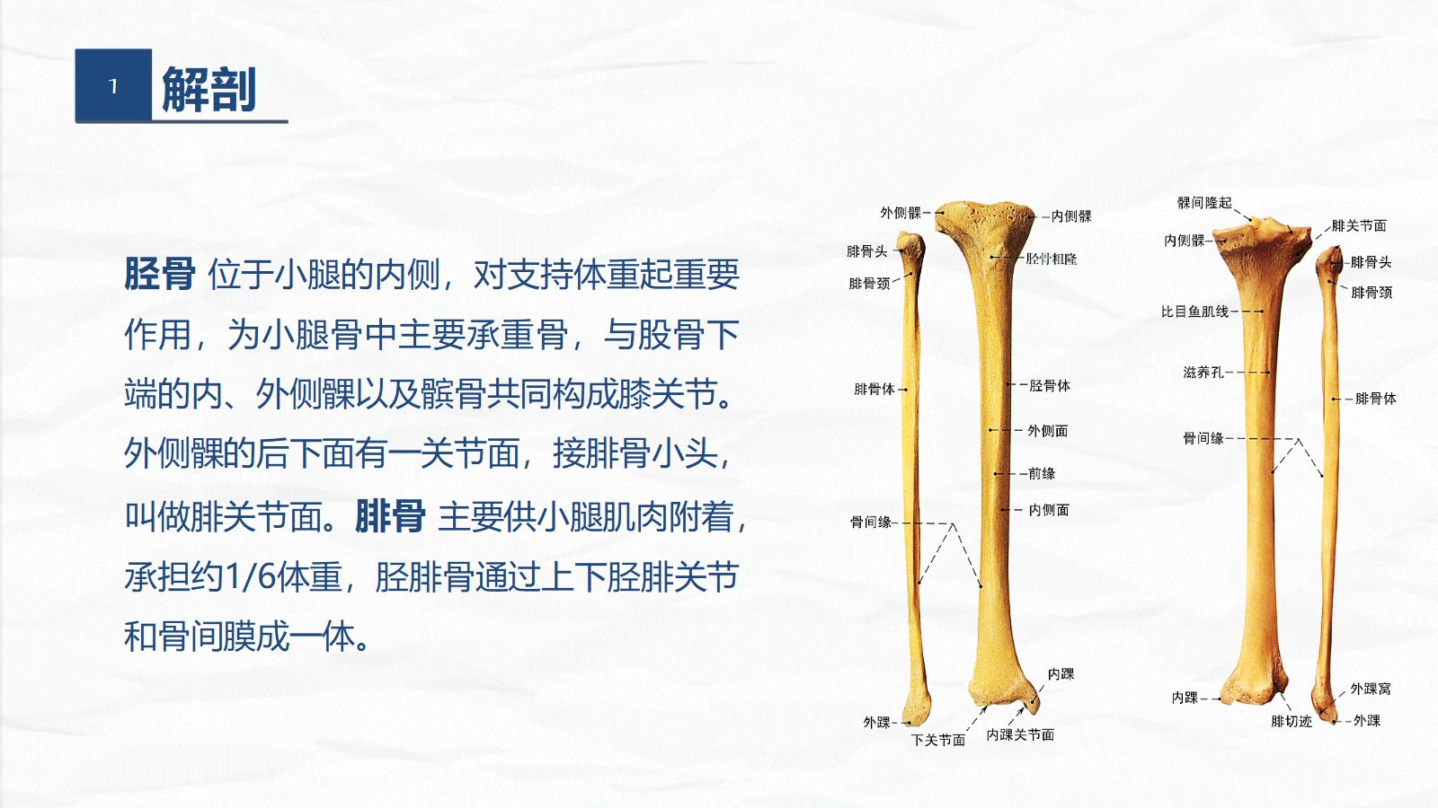 09骨科-右胫腓骨远端骨折术合并骨盆骨折的护理查房 第4页