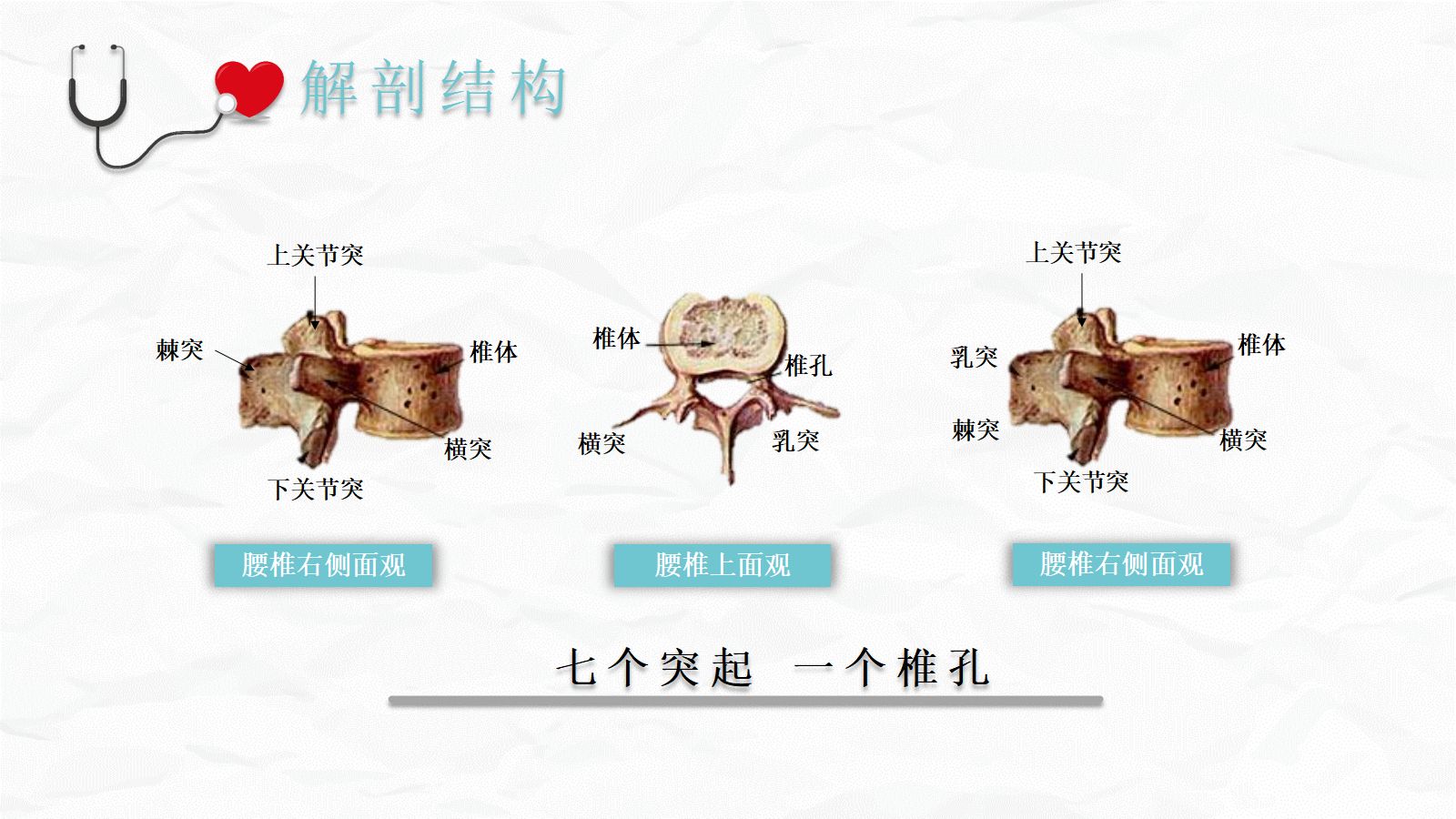 腰椎压缩性骨折护理业务 第5页
