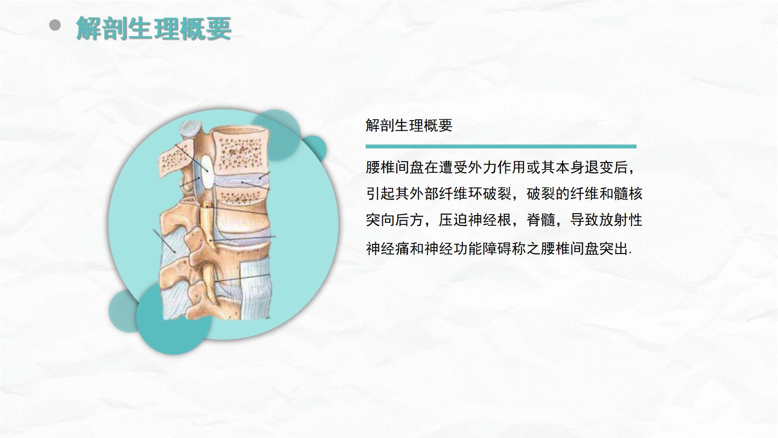 腰椎间盘突出症的康复护理 第4页