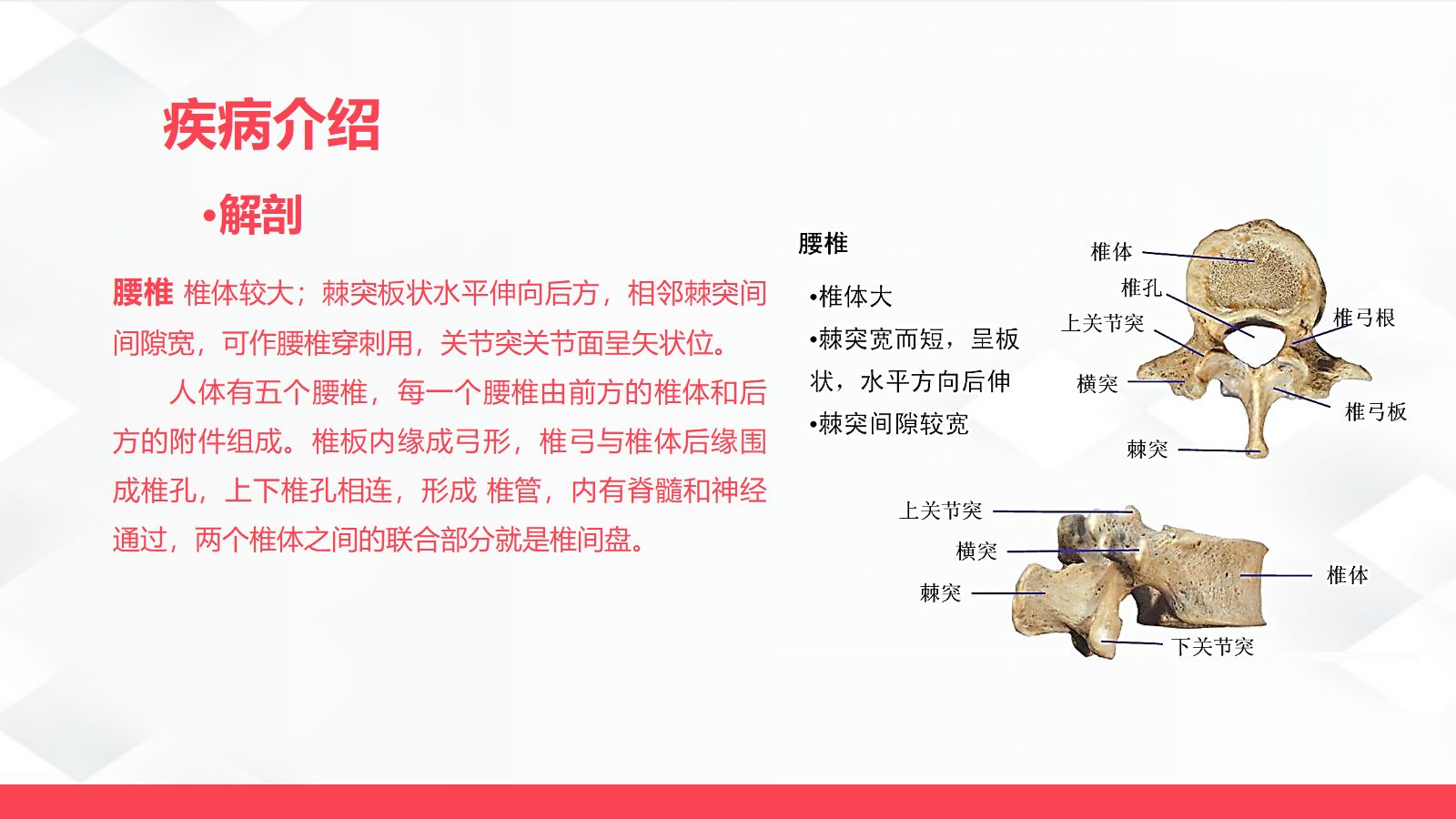 腰椎骨折的护理 第4页