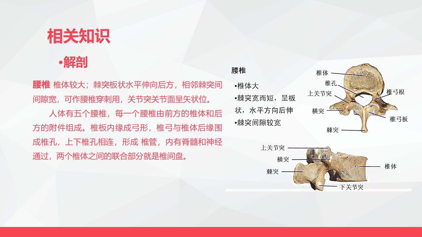 腰颈椎联合手术患者术后护理 第5页