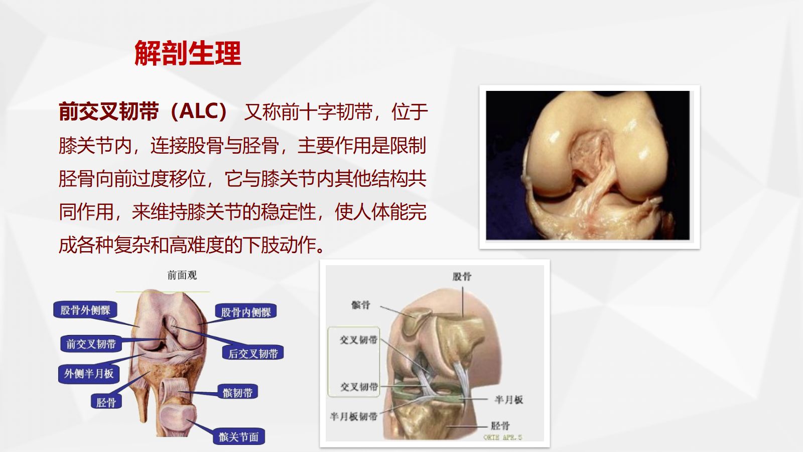 膝关节前十字韧带重建术的健康教育 第4页