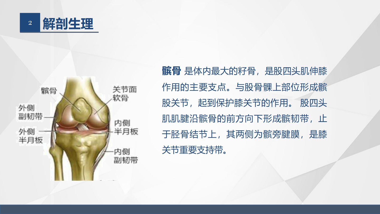 髌骨骨折的护理 第5页