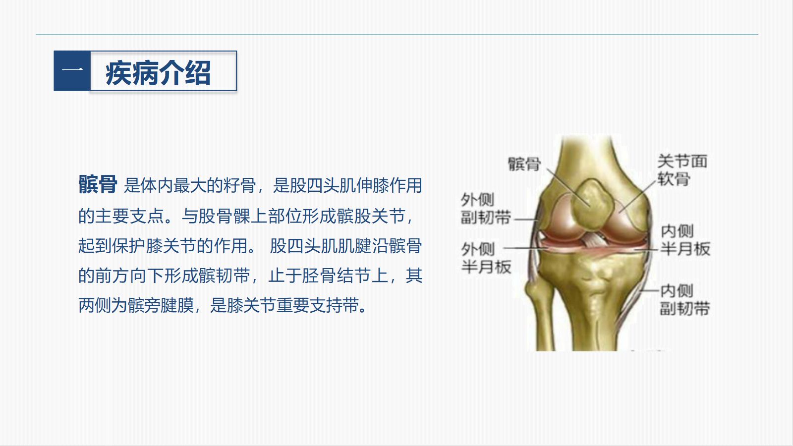 髌骨骨折的护理查房 第3页